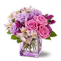 Портфолио Melody	Mills